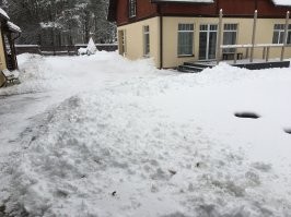 С лопатой вышел почистил :)