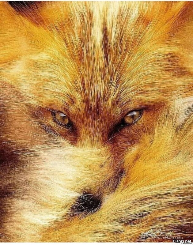 лучше позже да красивше...