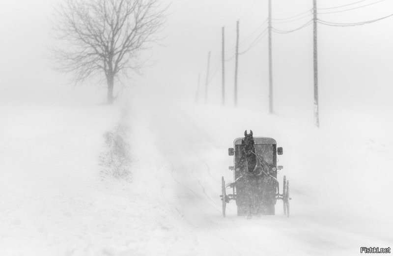Солянка от 30.11.2022