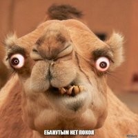 Клея пожалели