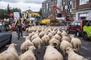 А вообще, звенья одной цепи, дебилы снимают для дебилов