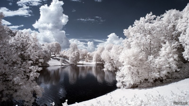 Еще тебе пейзажики в ИК... не мои, понятно... Кликабельно, они огромные!!!