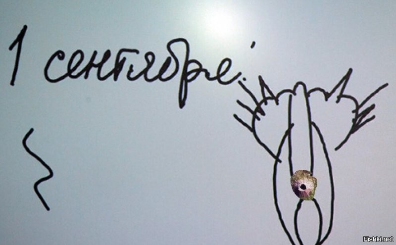 Везувий со спутника