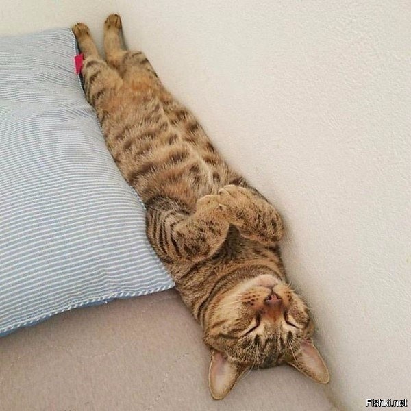 Солянка от 02.12.2022