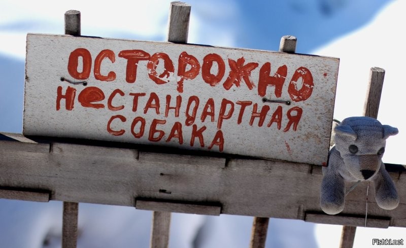 Ща, усатаю - это васе слусяйно высло _ васе нисе ни делал