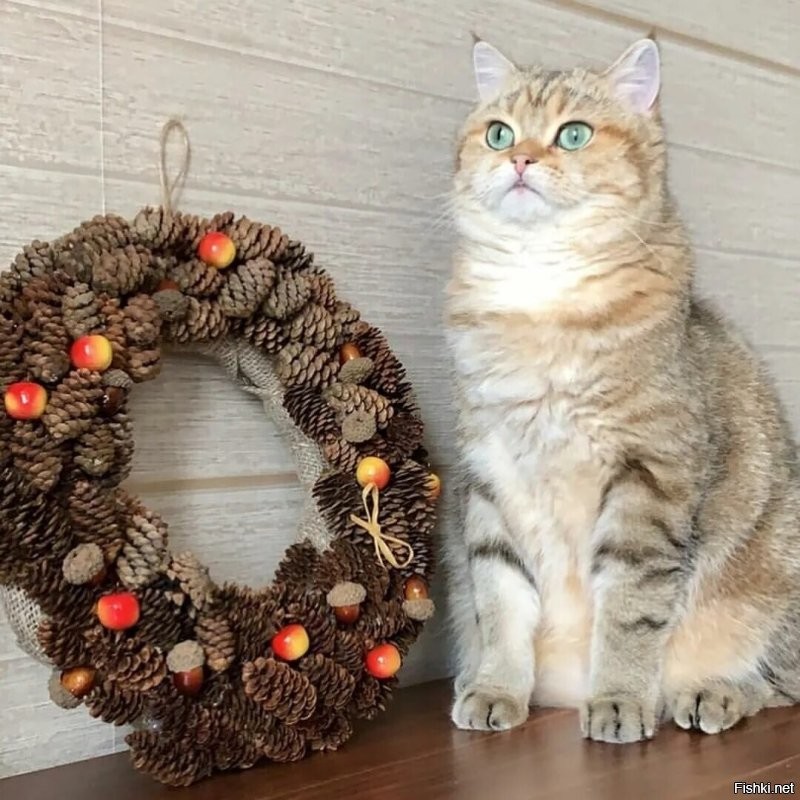 Солянка от 02.12.2022