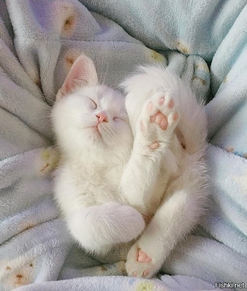 Солянка от 02.12.2022