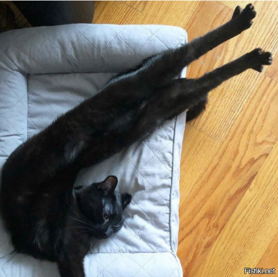 Солянка от 02.12.2022