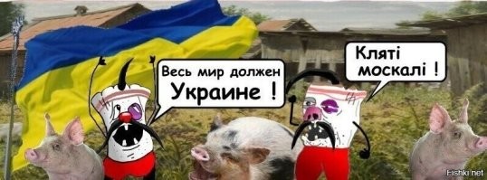 Украинские беженцы захватили квартиру в центре Кракова после просьбы хозяина съехать