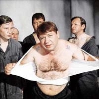 25 странных, забавных и причудливых существ, живущих на Земле