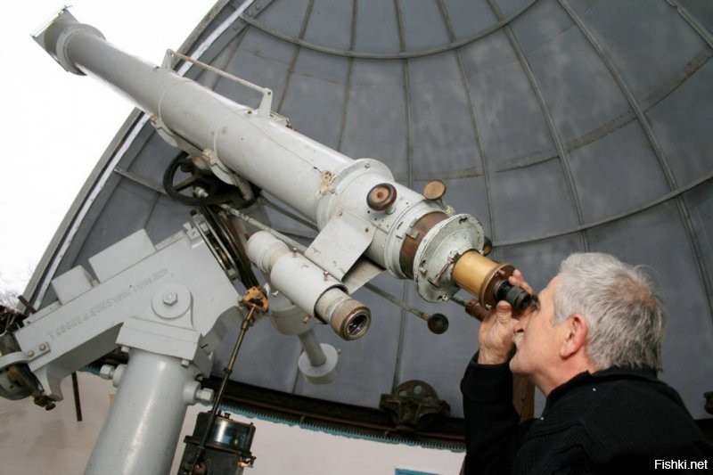 Вверх смотрит. Поза характерная.