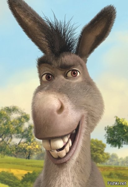 Солянка от 01.12.2022