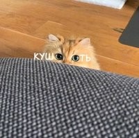 Смешные и познавательные картинки