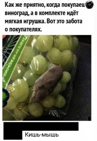 Скрины из соцсетей