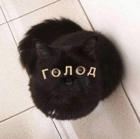 Смешные и познавательные картинки