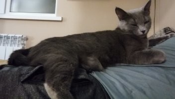 Да да, есть такое, полтора года назад в пупке помещалась, теперь на все тело разляжется и ещё места мало)))