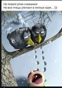 Йожика картинки. Выпуск 252