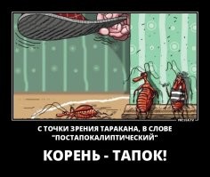 Йожика картинки. Выпуск 252