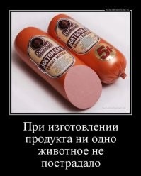 Йожика картинки. Выпуск 252