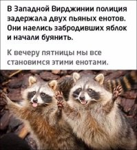 Йожика картинки. Выпуск 252
