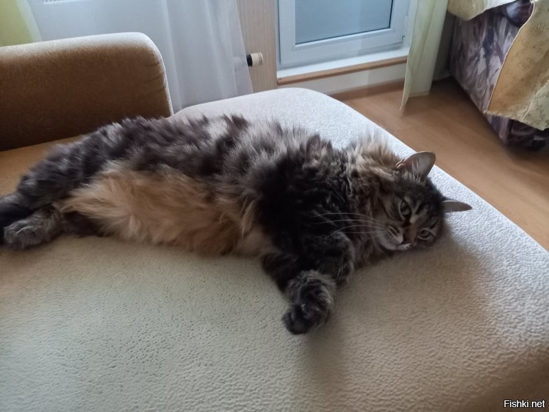 Надоело работать. Неделю буду спать.