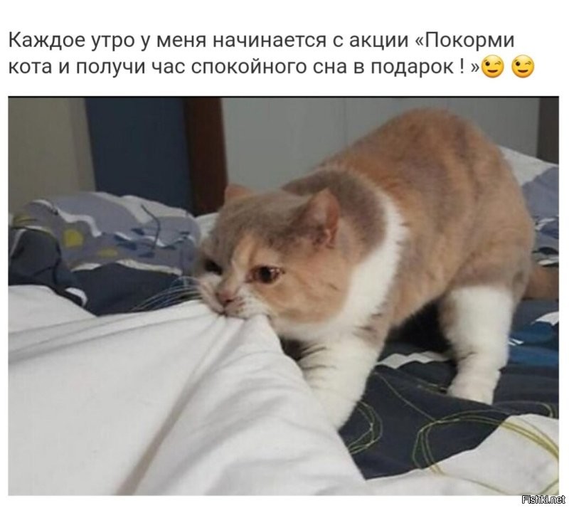 Доброе утро