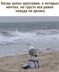 Ползарплаты потратил на эти кроссовки, а теперь думаешь: н#хуя?
На счет грусти - вполне логично...