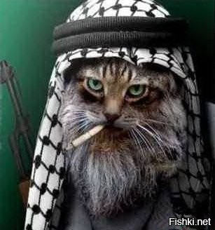 А некоторые еще и салама