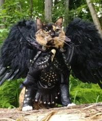 30 потрясающих изделий из кожи, которыми мастера поделились онлайн