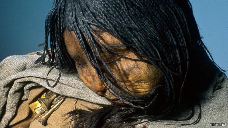<<< была заморожена во время сна >>>

Дети Льюльяйльяко.

Обнаруженные 16 марта 1999 года Йоханом Рейнхардом и его археологической экспедицией недалеко от вершины Льюльяйльяко, 6739-метрового стратовулкана в Андах, на границе Чили и Аргентины. 

Дети были принесены в жертву в религиозном ритуале инков, который, как полагают, имел место около 1500 года. В этом ритуале трое детей были одурманены наркотиками, им позволили заснуть, а затем поместили в небольшую гробницу на глубине 1,5 метра под землёй, где их оставили умирать.

На месте захоронения Льюльяйльяко были найдены три мумии: La doncella (Дева), la niña del rayo (девочка-молния) и el niño (мальчик). 

Сильная сухость воздуха является главной причиной отличной сохранности мумий в течение 500 лет.