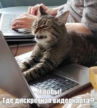 Я так понимаю, чтобы была возможность поработать самому, коту нужен отдельный компьютер. 
 Конфигурацию не подскажите, которая удовлетворит потребности кошки?