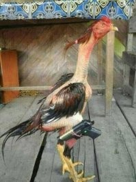 Фотоподборка