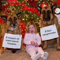 Смешные и познавательные картинки