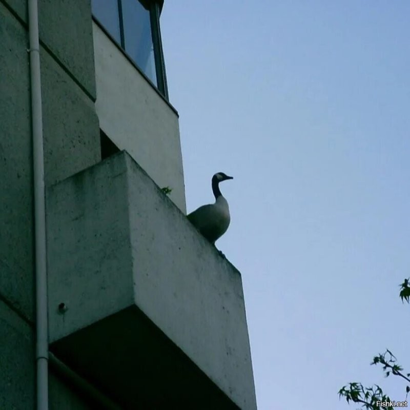 "Есть многое на свете, 
Друг Гораций,
Что и не снилось нашим мудрецам" (У.Ш. )