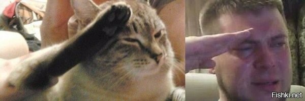 Солянка от 04.12.2022