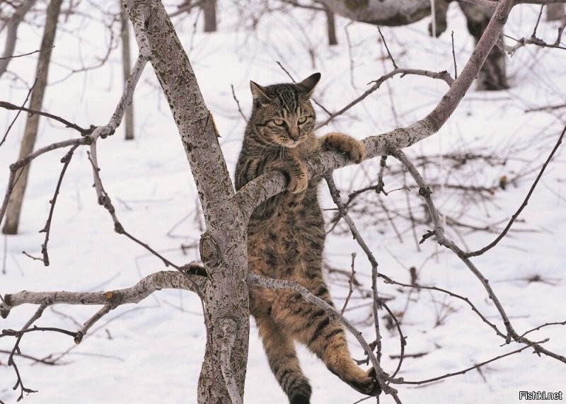 Я и не сомневадась )))