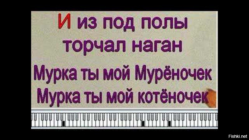 Песня котеночек ты мой муреночек. Мурка караоке. Мурка песня. Мурка текст. Мурка песня слова.