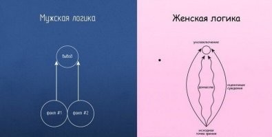 Женская логика
