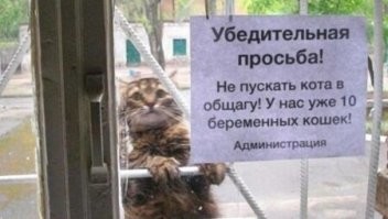 Смешные и познавательные картинки