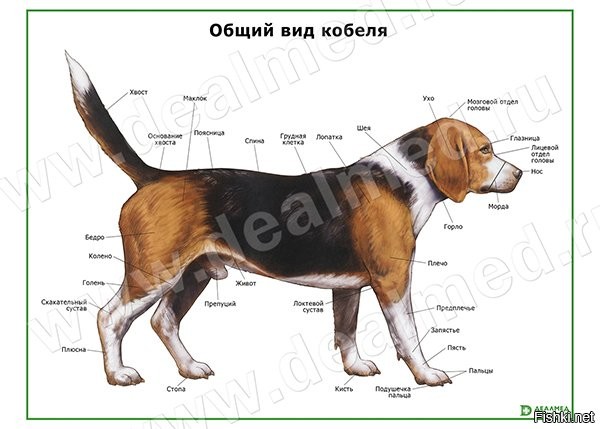 18 обычных предметов, которые мы не видели внутри