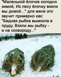 Йожика картинки. Выпуск 252