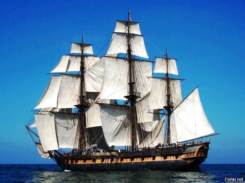 В 1829 году 14 мая три русских корабля Черноморского флота фрегат «Штандарт», а с ним бриги «Орфей» и «Меркурий» несли сторожевую службу у Босфора, следя за передвижениями турецкого флота. На рассвете они обнаружили, что навстречу с востока вдоль анатолийского берега движется мощная эскадра, состоящая из 18 вымпелов, в том числе шести линейных кораблей и двух фрегатов, которая направлялась в Константинополь. Турецкий флот появился в Черном море еще 11 мая, но русское командование об этом ничего не знало, поскольку дозорный корабль, фрегат «Рафаил», 12 мая был застигнут врасплох и (из песни слова не выкинешь) спустил флаг без единого выстрела.
Принимать неравный бой в планы капитанов русских кораблей сначала не входило, и они попытались уйти. Бриг "Меркурий" не отличался быстроходностью, поэтому сделать это не удалось.
«Что делать для спасения судна и чести Андреевского флага?» Выступивший по старой флотской традиции первым самый младший по званию поручик корпуса флотских штурманов И. Прокофьев, не колеблясь, высказал общее мнение принять решительный бой, а в случае непосредственной угрозы захвата брига противником взорвать его. Такое решение было объявлено всему экипажу. Матросы и офицеры начали готовиться к смертельной схватке.
Позор Русского флота - фрегат «Рафаил»