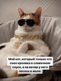 А сам доширак....