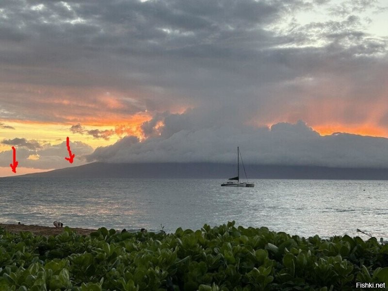 Ого... прям на край Земли приехал? Вниз смотрел? Черепаху кормил?