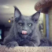 Ничего себе доброе, в шаге от инфаркта.