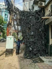 вот и некоторые граждане думают, что это электрические провода, а потом разочаровываются.