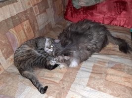 С добрым утром!