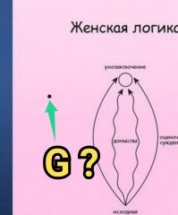 Женская логика