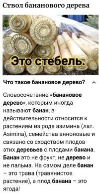 18 обычных предметов, которые мы не видели внутри