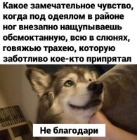 "Обсмоктанную"? Что означает это слово?